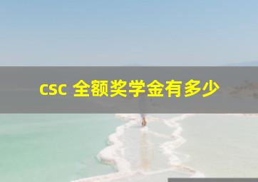 csc 全额奖学金有多少